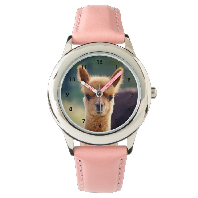 Prachtig Baby Alpaca horloge (Voorkant)