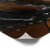 Prachtig Belgisch Poster (Hoek)