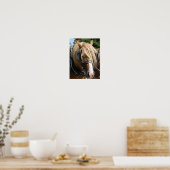 Prachtig Belgisch Poster (Keuken)