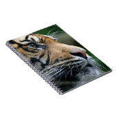 Prachtig Bengaalse Tijgergezicht Notitieboek (Rechterzijde)