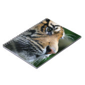 Prachtig Bengaalse Tijgergezicht Notitieboek (Linkerzijde)