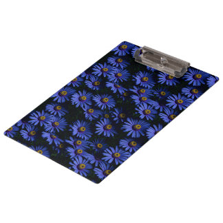 Prachtig blauw asters klembord