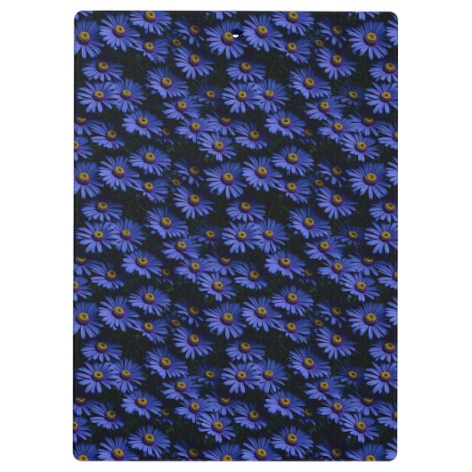 Prachtig blauw asters klembord (Achterkant)