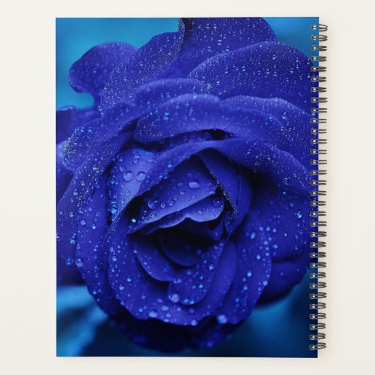 Prachtig blauw Roos Planner (Achterkant)
