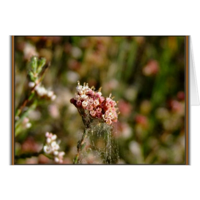 Prachtig bloemen (Voorkant Horizontaal)