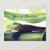 prachtig briefkaart (Voorkant)