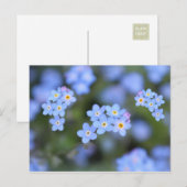 Prachtig Briefkaart van de Vergeet-me-niet bloemen (Voorkant / Achterkant)