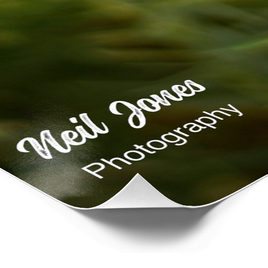 Prachtig Budha Inspirerend poster (Hoek)