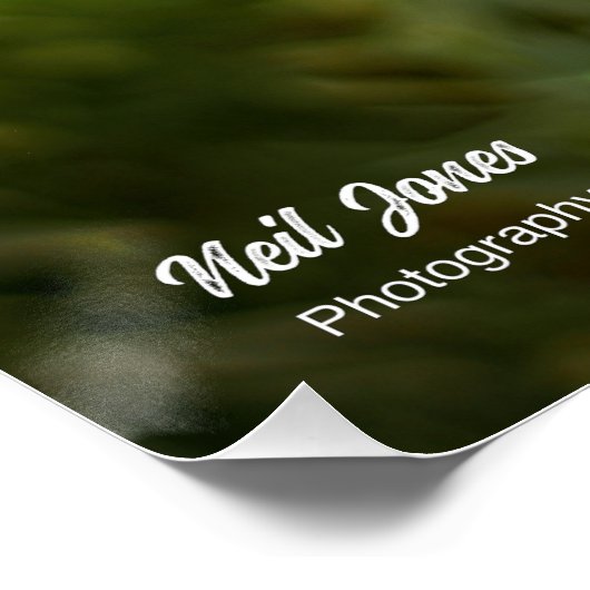 Prachtig Budha Inspirerend poster (Hoek)