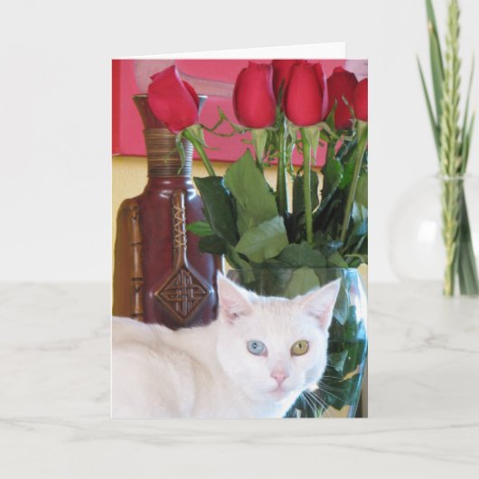 Prachtig Cat Wenskaart! Kaart (Voorkant)