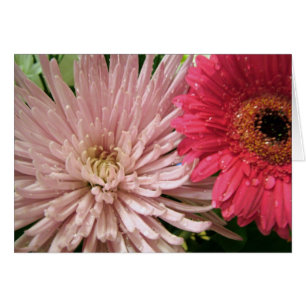 Prachtig chrysant