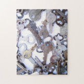 Prachtig Collectie van  oude skeletsleutels Legpuzzel (Verticaal)