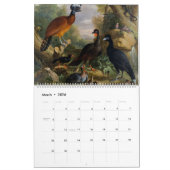 Prachtig Collectie vogels met  gevoel Kalender (Mar 2026)