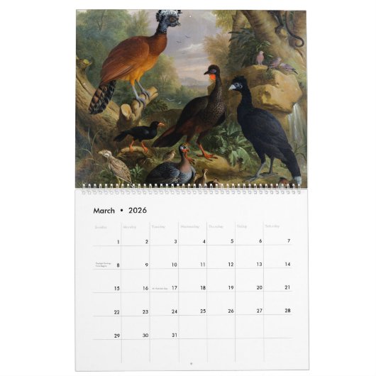 Prachtig Collectie vogels met  gevoel Kalender (Mar 2026)