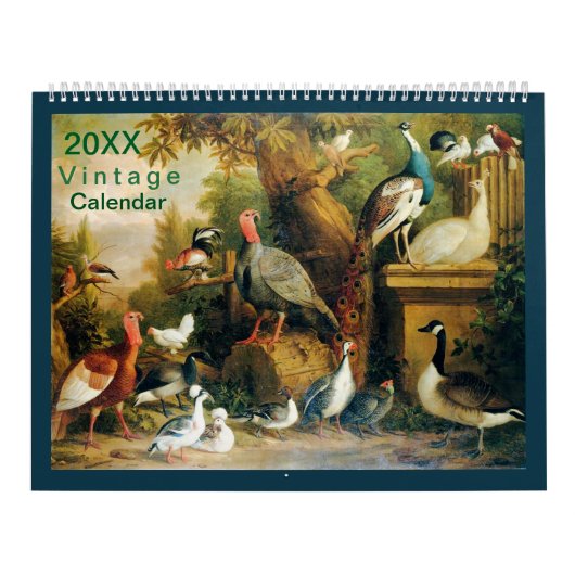Prachtig Collectie vogels met  gevoel Kalender (Hoes)