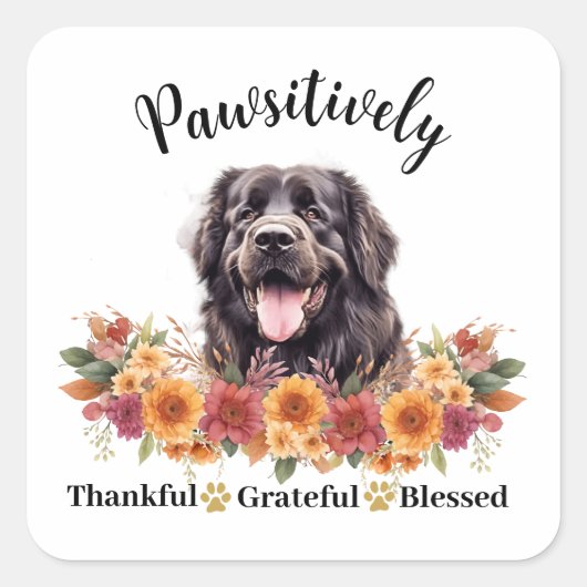 Prachtig Dankbaar Gezegend Mooie Hond Vierkante Sticker (Voorkant)