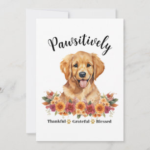 Prachtig Dankbare Gezegende Cute Hond Kaart