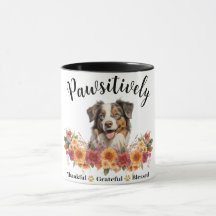 Prachtig Dankbare Gezegende Cute Hond