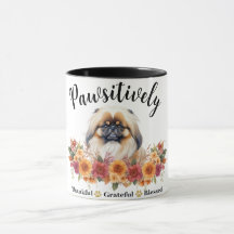 Prachtig Dankbare Gezegende Cute Hond