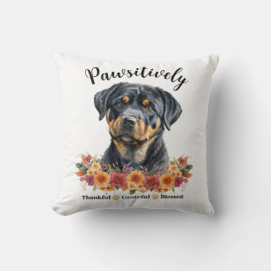Prachtig Dankbare Gezegende Moppige Hond Kussen