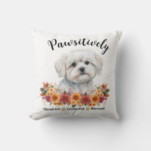 Prachtig Dankbare Gezegende Schattige Hond Kussen