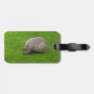 Prachtig dier Capybara Bagagelabel