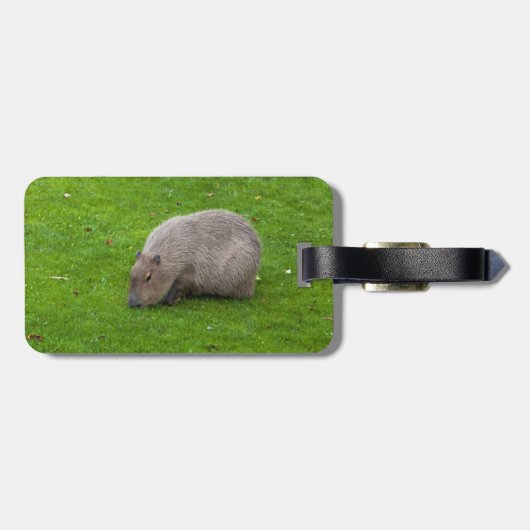 Prachtig dier Capybara Bagagelabel (Achterkant horizontaal)