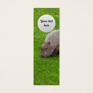 Prachtig dier Capybara Mini Visitekaartjes