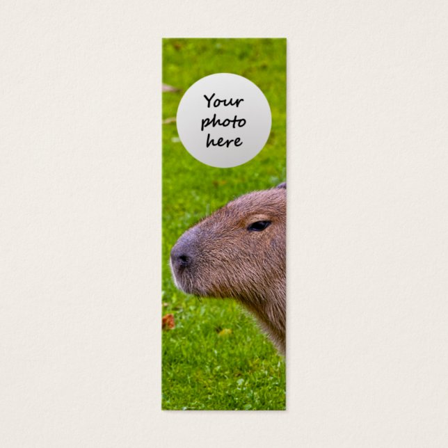 Prachtig dier Capybara Mini Visitekaartjes (Voorkant)