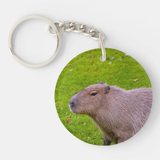 Prachtig dier Capybara Sleutelhanger (Voorkant)
