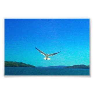 prachtig foto afdruk