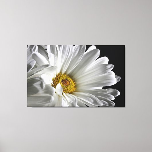 prachtig gedetailleerd Daisy Wall Canvas Afdruk (Voorkant)