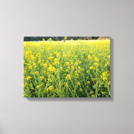 Prachtig geel bloemendoek canvas afdruk (Voorkant)