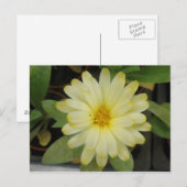 Prachtig geel goudsbloem Briefkaart (Voorkant / Achterkant)