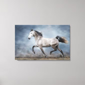 Prachtig grijs paard dramatisch hemels zandlandsch canvas afdruk (Voorkant)