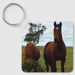 Prachtig Grote Bruine Paard, Sleutelhanger