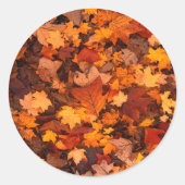 Prachtig herfstbladerontwerp. ronde sticker (Voorkant)