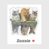 Prachtig kat reflectie cadeau ontwerp idee sticker (Vel)