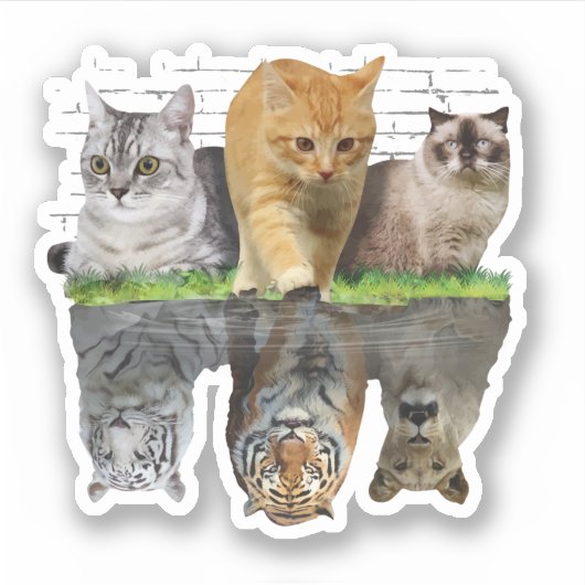Prachtig kat reflectie cadeau ontwerp idee sticker (Voorkant)