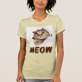 Prachtig kat T-shirt ontwerp