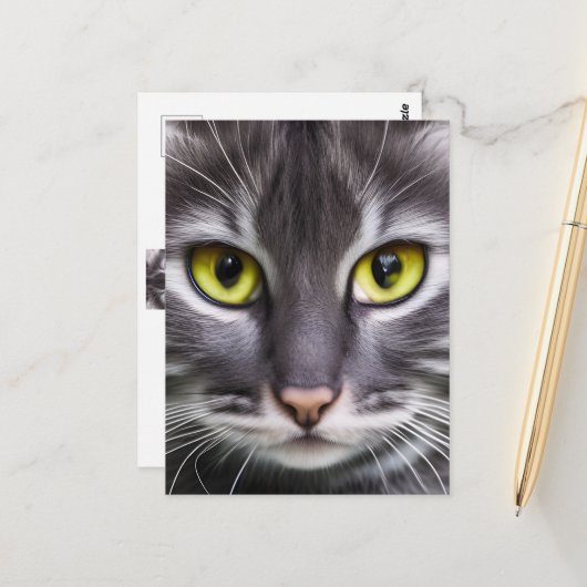 Prachtig kattenportret briefkaart (Voorkant / Achterkant in situ)
