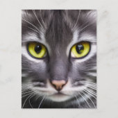 Prachtig kattenportret briefkaart (Voorkant)