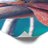 Prachtig kleurrijk Iguana Poster (Hoek)