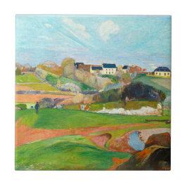 Prachtig kleurrijk landschap tegeltje