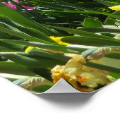 Prachtig kleurrijk Tulp-veld Poster (Hoek)