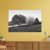 Prachtig landschap met bomen in zwart-wit canvas afdruk (Insitu (Woonkamer))