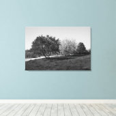 Prachtig landschap met bomen in zwart-wit canvas afdruk (Insitu (Houten vloer))