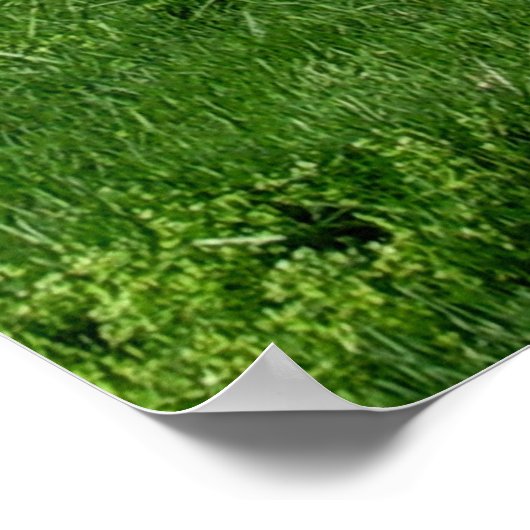 Prachtig landschap met bomen poster (Hoek)