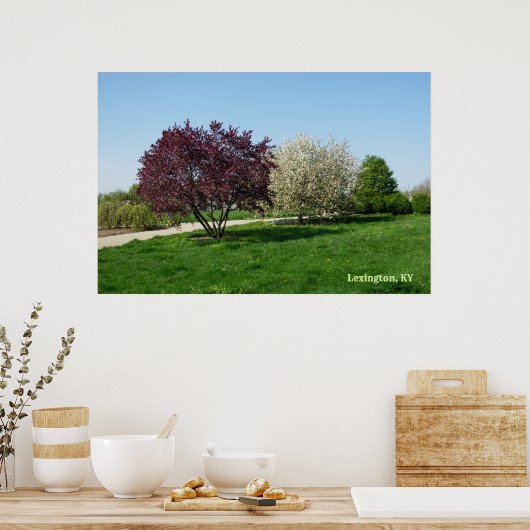 Prachtig landschap met bomen poster (Keuken)