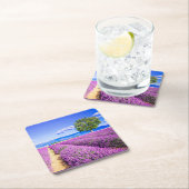 Prachtig lavendelveld in de Provence, Frankrijk Kartonnen Onderzetters (Insitu)